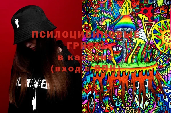 спайс Новозыбков