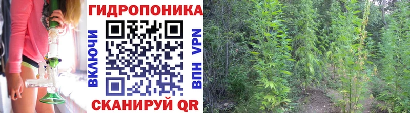 Бошки Шишки семена  это официальный сайт  Кувшиново 